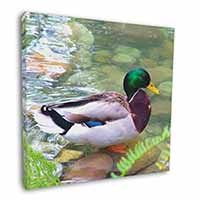 Mallard Duck by Stream Square Canvas 12"x12" Wall Art Picture Print