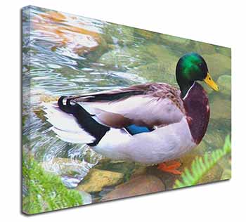 Mallard Duck by Stream Canvas X-Large 30"x20" Wall Art Print