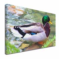 Mallard Duck by Stream Canvas X-Large 30"x20" Wall Art Print