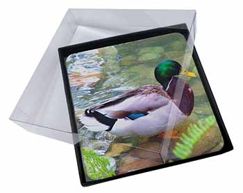 4x Mallard Duck by Stream Picture Table Coasters Set in Gift Box