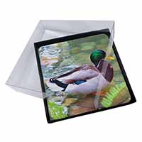 4x Mallard Duck by Stream Picture Table Coasters Set in Gift Box