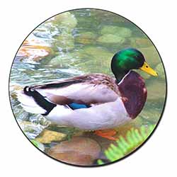 Mallard Duck by Stream Fridge Magnet Printed Full Colour