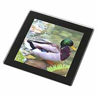 Mallard Duck by Stream Black Rim High Quality Glass Coaster