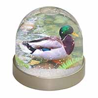 Mallard Duck by Stream Snow Globe Photo Waterball