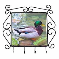 Mallard Duck by Stream Wrought Iron Key Holder Hooks