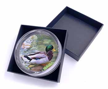 Mallard Duck by Stream Glass Paperweight in Gift Box