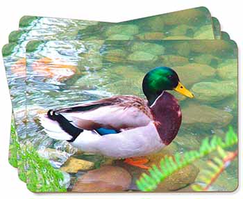 Mallard Duck by Stream Picture Placemats in Gift Box