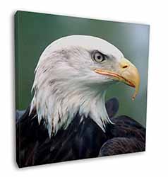 Eagle, Bird of Prey Square Canvas 12"x12" Wall Art Picture Print
