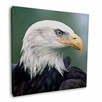Eagle, Bird of Prey 12"x12" Canvas Wall Art Picture Print