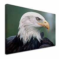 Eagle, Bird of Prey X-Large 30"x20" Canvas Wall Art Print