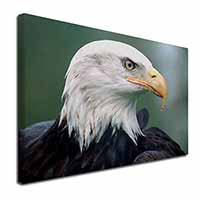 Eagle, Bird of Prey Canvas X-Large 30"x20" Wall Art Print