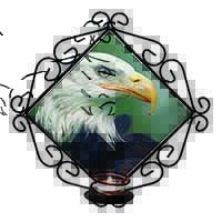 Eagle, Bird of Prey Wrought Iron Wall Art Candle Holder