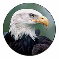 Eagle, Bird of Prey Fridge Magnet Printed Full Colour