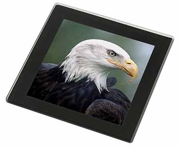 Eagle, Bird of Prey Black Rim High Quality Glass Coaster