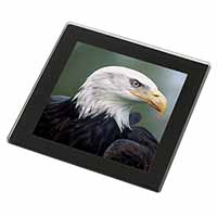 Eagle, Bird of Prey Black Rim High Quality Glass Coaster