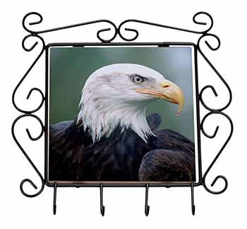 Eagle, Bird of Prey Wrought Iron Key Holder Hooks