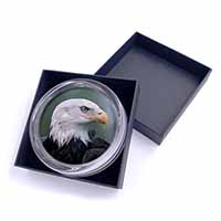 Eagle, Bird of Prey Glass Paperweight in Gift Box