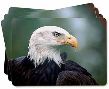 Eagle, Bird of Prey Picture Placemats in Gift Box