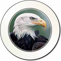 Eagle, Bird of Prey Car or Van Permit Holder/Tax Disc Holder