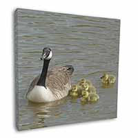 Canadian Geese and Goslings 12"x12" Canvas Wall Art Picture Print