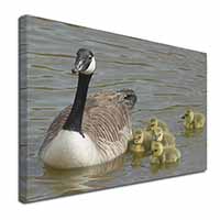 Canadian Geese and Goslings X-Large 30"x20" Canvas Wall Art Print