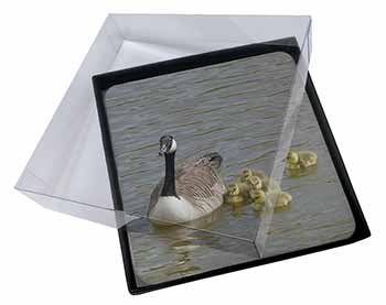 4x Canadian Geese and Goslings Picture Table Coasters Set in Gift Box