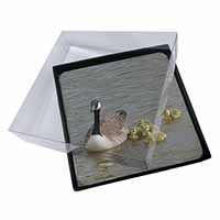 4x Canadian Geese and Goslings Picture Table Coasters Set in Gift Box