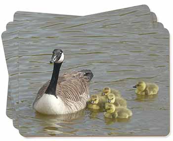 Canadian Geese and Goslings Picture Placemats in Gift Box