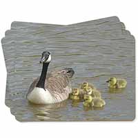 Canadian Geese and Goslings Picture Placemats in Gift Box