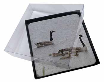4x Geese+Goslings in Heavy Rain Picture Table Coasters Set in Gift Box