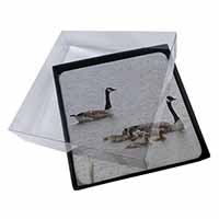 4x Geese+Goslings in Heavy Rain Picture Table Coasters Set in Gift Box