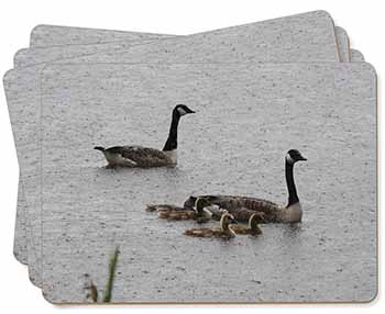 Geese+Goslings in Heavy Rain Picture Placemats in Gift Box