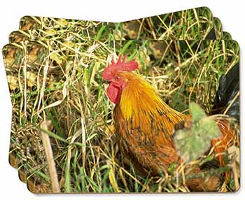 Hen in Straw Picture Placemats in Gift Box
