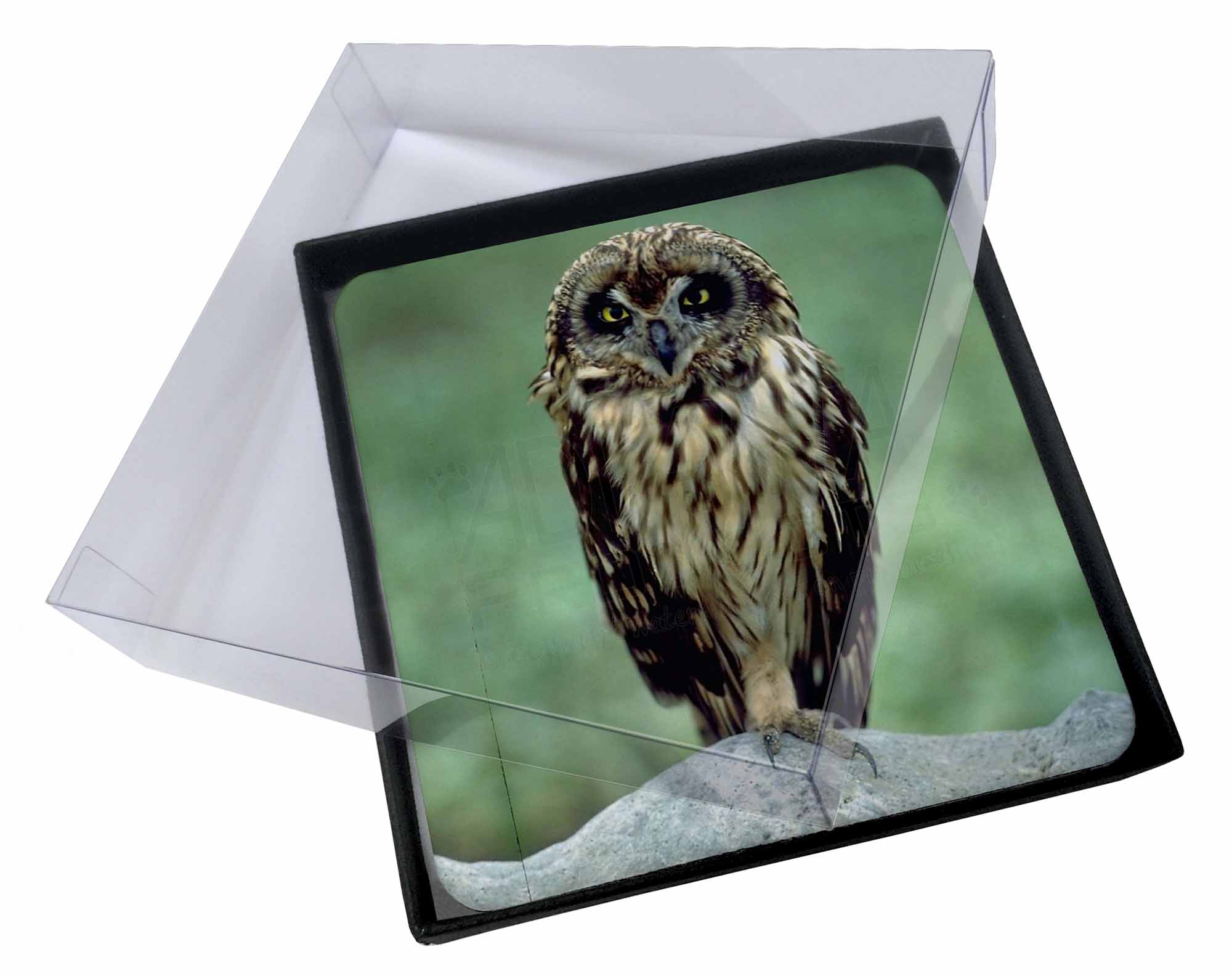 4x Stunning Owl in Tree Picture Table Coasters Set in Gift Box AB-87C 