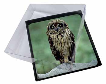 4x Cute Tawny Owl Picture Table Coasters Set in Gift Box