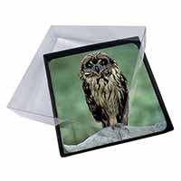 4x Cute Tawny Owl Picture Table Coasters Set in Gift Box
