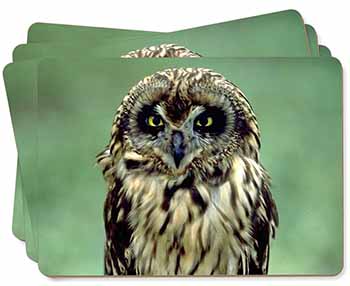 Cute Tawny Owl Picture Placemats in Gift Box