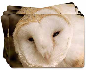White Barn Owl Picture Placemats in Gift Box