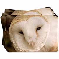 White Barn Owl Picture Placemats in Gift Box