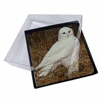 4x White Barn Owl Picture Table Coasters Set in Gift Box - Advanta Group®
