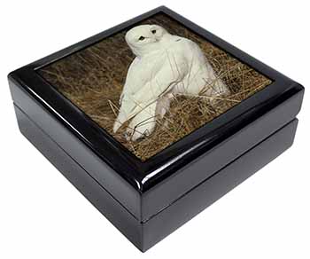 White Barn Owl Keepsake/Jewellery Box