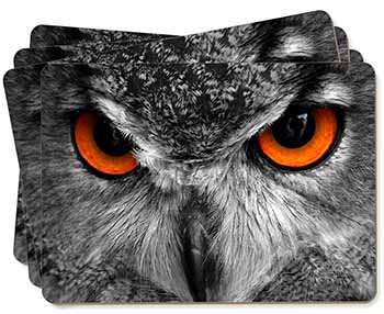 Grey Owl