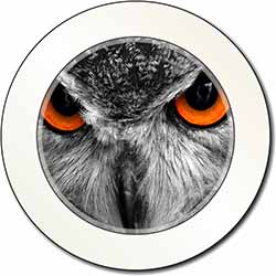 Grey Owl