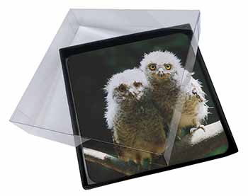 4x Baby Owl Chicks Picture Table Coasters Set in Gift Box