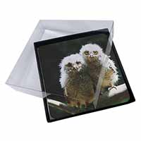 4x Baby Owl Chicks Picture Table Coasters Set in Gift Box