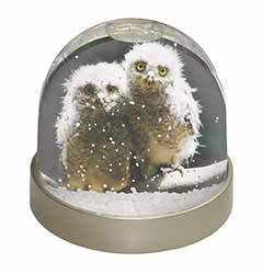 Baby Owl Chicks Snow Globe Photo Waterball