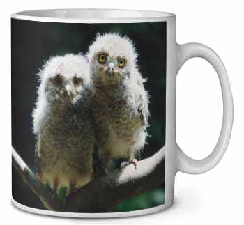 Baby Owl Chicks Ceramic 10oz Coffee Mug/Tea Cup