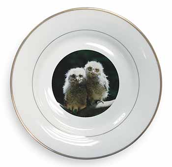 Baby Owl Chicks Gold Rim Plate Printed Full Colour in Gift Box