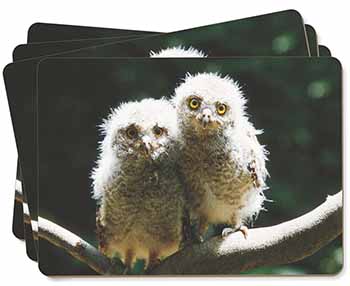 Baby Owl Chicks Picture Placemats in Gift Box