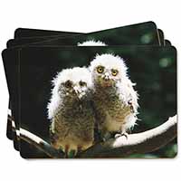 Baby Owl Chicks Picture Placemats in Gift Box